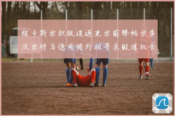 纽卡斯尔积极追逐里尔前锋帕尔多沃尔特马德或将外租寻求锻炼机会
