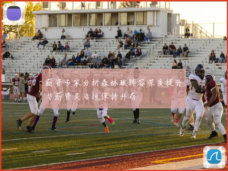 薪资专家分析森林狼阵容深度提升与薪资灵活性保持并存